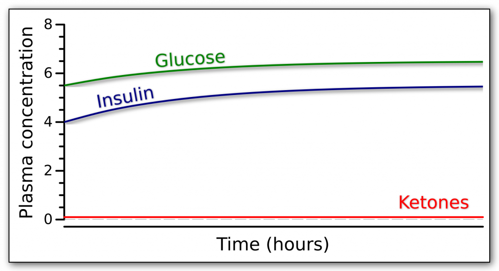 Fasting response while giving supplemental glucose over time in terms of glucose, insulin, and ketones.