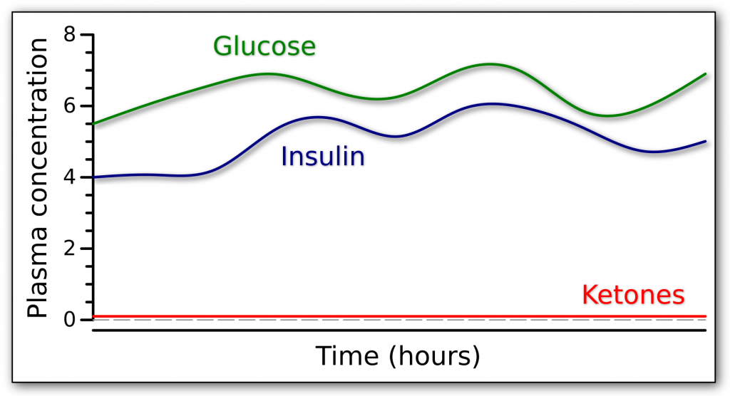 Graph of the fasting response in someone who can not make endogenous insulin while giving glucose and insulin exogenously.