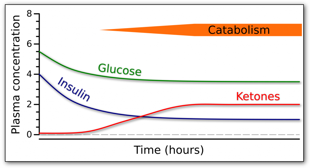 Graph of the fasting response over time in terms of glucose, insulin, and ketones.