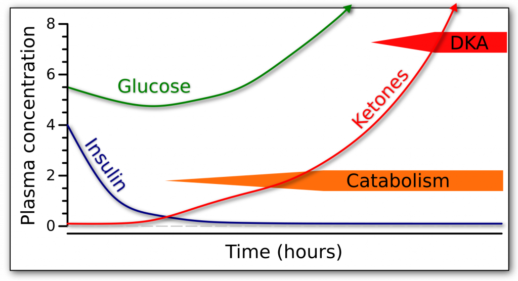 Graph of the fasting response over time in terms of glucose, insulin, and ketones in someone who can not produce endogenous insulin.